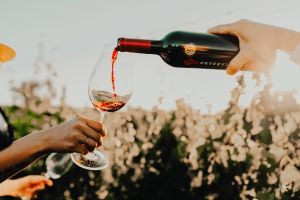 Por que beber vinho é um caminho mais seguro, saudável e sustentável?