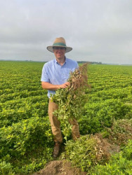 Leis de biodiversidade ameaçam a ciência e a segurança alimentar, alerta estudo internacional
