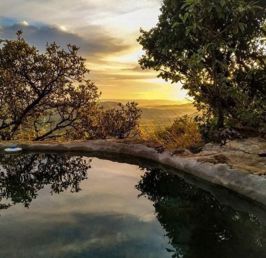 Trilha do Calango realiza imersão na natureza com o "Experimenta Cerrado"