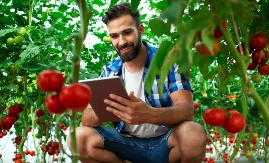 Foto: Wave Break Media | Freepik